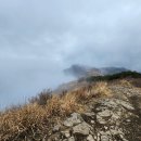 영축산정상 | 영축산 등산코스 후기 – 건암사 출발 소요시간, 난이도 정리 (영남알프스 7봉)