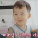 위키교육
