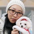 강남종합동물병원 이미지