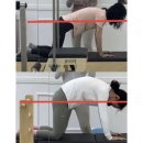 마이필라테스 - 전주시 완산구 홍산로 160-3 | 마이필라테스