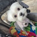 앙꼬네 미용실 이미지