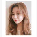 달콤한 민들레의 속 이미지