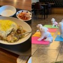 아껴줄개 이미지