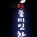 단풍미인 이미지