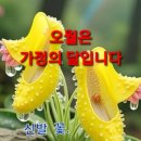 자유한의원 네이버블로그