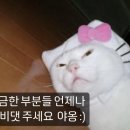 간편한 저울조빈니타 가정용 전자저울