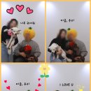 메모유