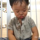배스킨라빈스신불당2호점 네이버블로그