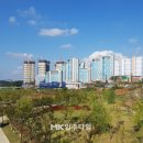 이새공인중개사사무소 이미지