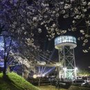 나무아래서(푸드트럭) 이미지