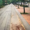 어양동-10 이미지