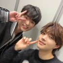 그레이빌 이미지