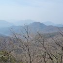 마니산 농원 티스토리