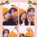 제주 하연 이미지