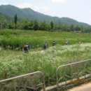 예진가족농장 이미지