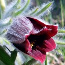 보람목욕탕 이미지