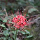 맹산2공원 이미지