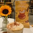 카페콩(cafe bean) 이미지