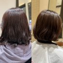 에이치에비뉴 인천주안점 | 알팀 주안동미용실 미추홀구미용실 디자인단발펌 알팀헤어 주안점 (재인부원장님) 시술후기