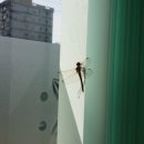 대조동 224-3 이미지