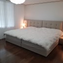 버킹검호텔 이미지