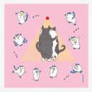 미아옹캣