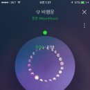 문문(moonmoon)