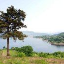 오토공인중개사사무소 이미지