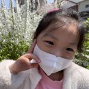 하리약국 이미지
