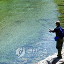 덕풍계곡플라이낚시터