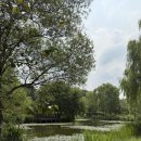 연희자연마당 공원 이미지