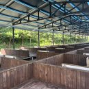 삼육사로36 이미지