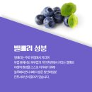 젤리뷰티