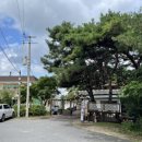 치악골프연습장 이미지