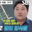 8월19일 동상이몽2 너는 내 운명 ‘연 매출 30억’ 양준혁, 3,000평 규모 초대형 방어 양식장 대공개 영상 이미지