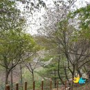 길치고개길 이미지