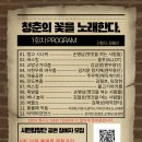 볼래로 문화거리 이미지