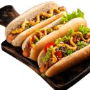 해시도그 이미지