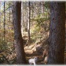 숲이랑민박 이미지