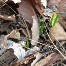 고유종농장 이미지