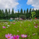 불꽃쉼터 이미지