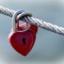 (기초) 성인영어회화 이미지