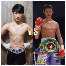 행정사법인 태평양 이미지