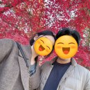 성모나무정신건강의학과의원 | [임신일기] 27주 ~ 30주 배크기 입체초음파, 분만방법 결정, 라움산부인과