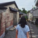 비밀역 | 제주 비밀역 내돈내산 후기 작은 일본 숲속 기차역 감성카페