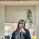 스마트동물병원 성북길음점 | 길음 미용실 헤어위로 영주 원장 톤다운 염색 클리닉 디자인컷 후기