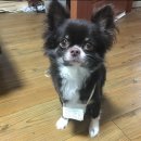 견생묭실 이미지