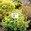 우림가든 이미지