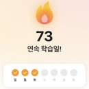 나누면 | 듀오링고 하다가 스픽으로 갈아탄 이유 (최저가 구매)｜스픽 내돈내산 후기 &amp; 듀오링고 비교