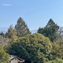 향나무로 | 구례 천개의향나무숲 정원 나들이